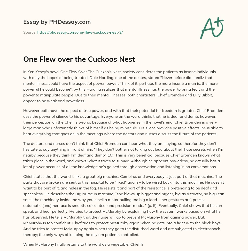 One Flew over the Cuckoos Nest essay