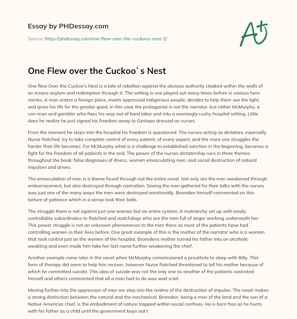 One Flew over the Cuckoo`s Nest essay