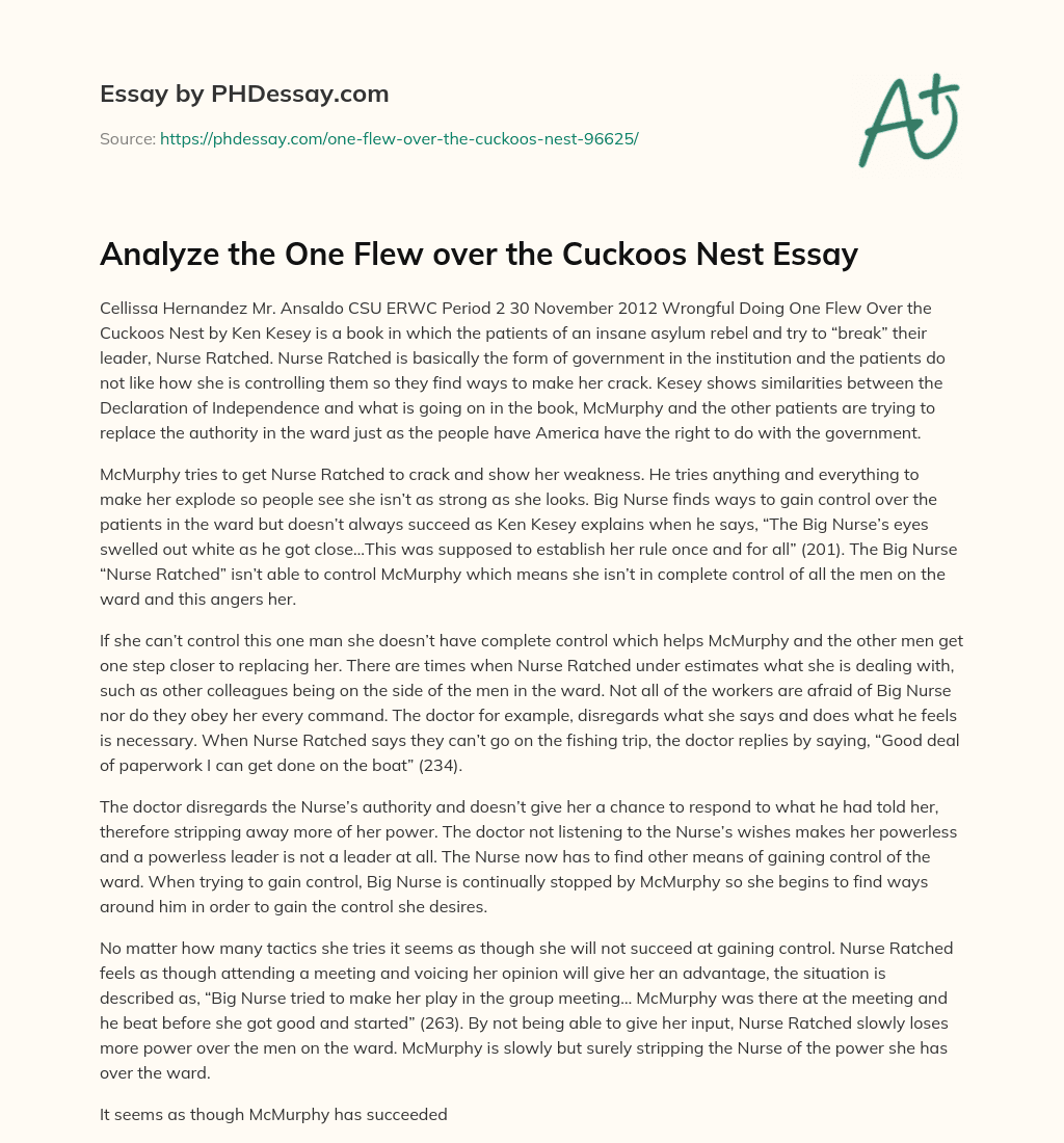 Rebellion against Authority in One Flew Over the Cuckoo’s Nest essay