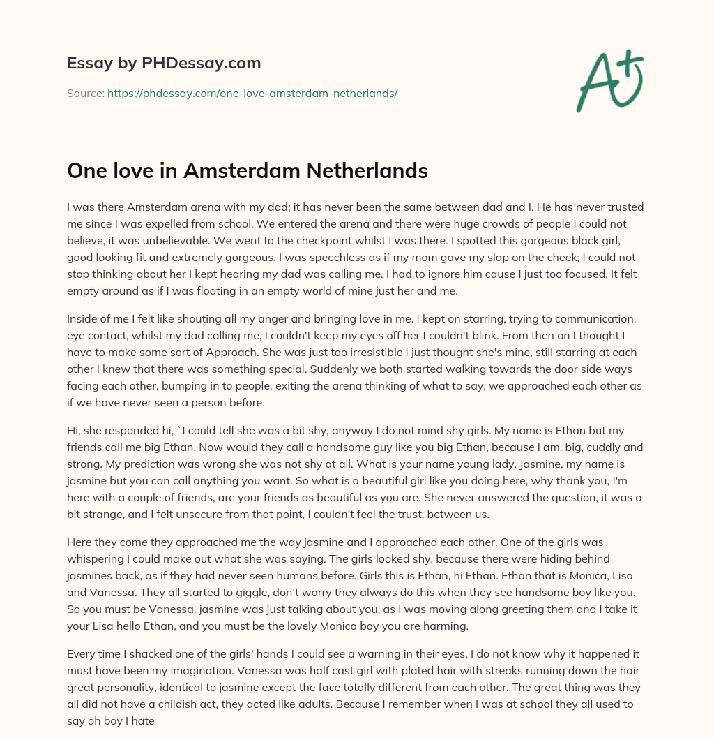 One love in Amsterdam Netherlands essay