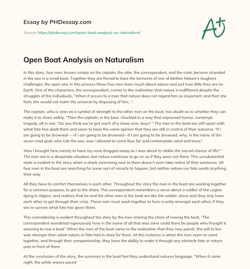Open Boat Analysis on Naturalism essay