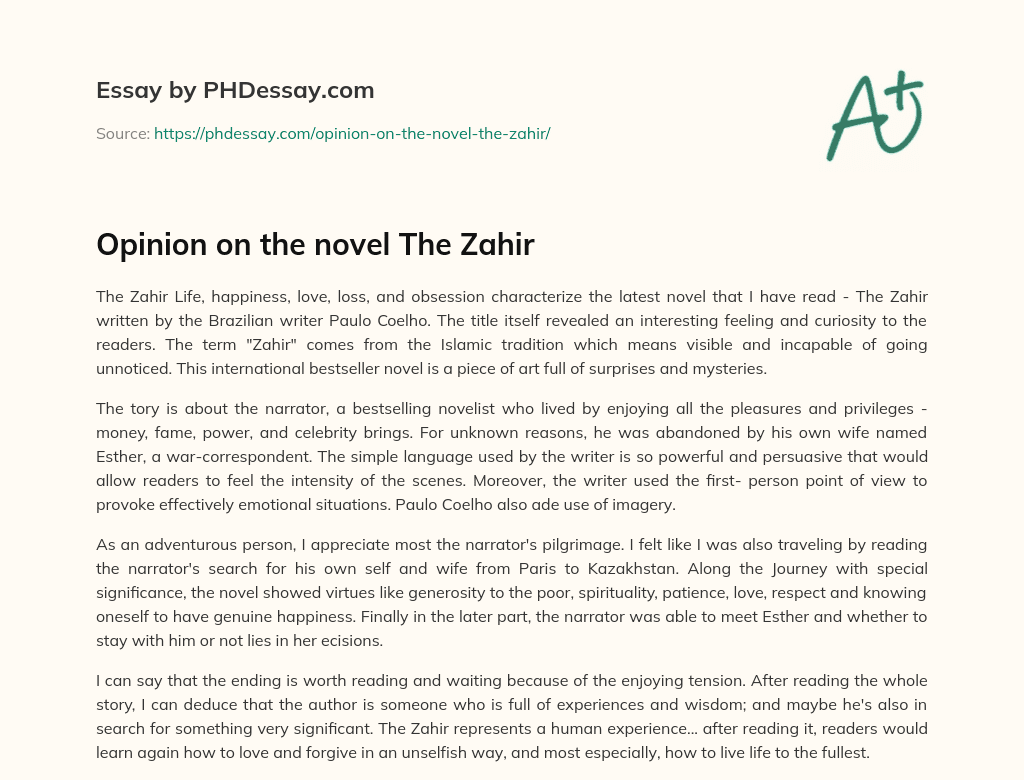 Opinion on the novel The Zahir essay