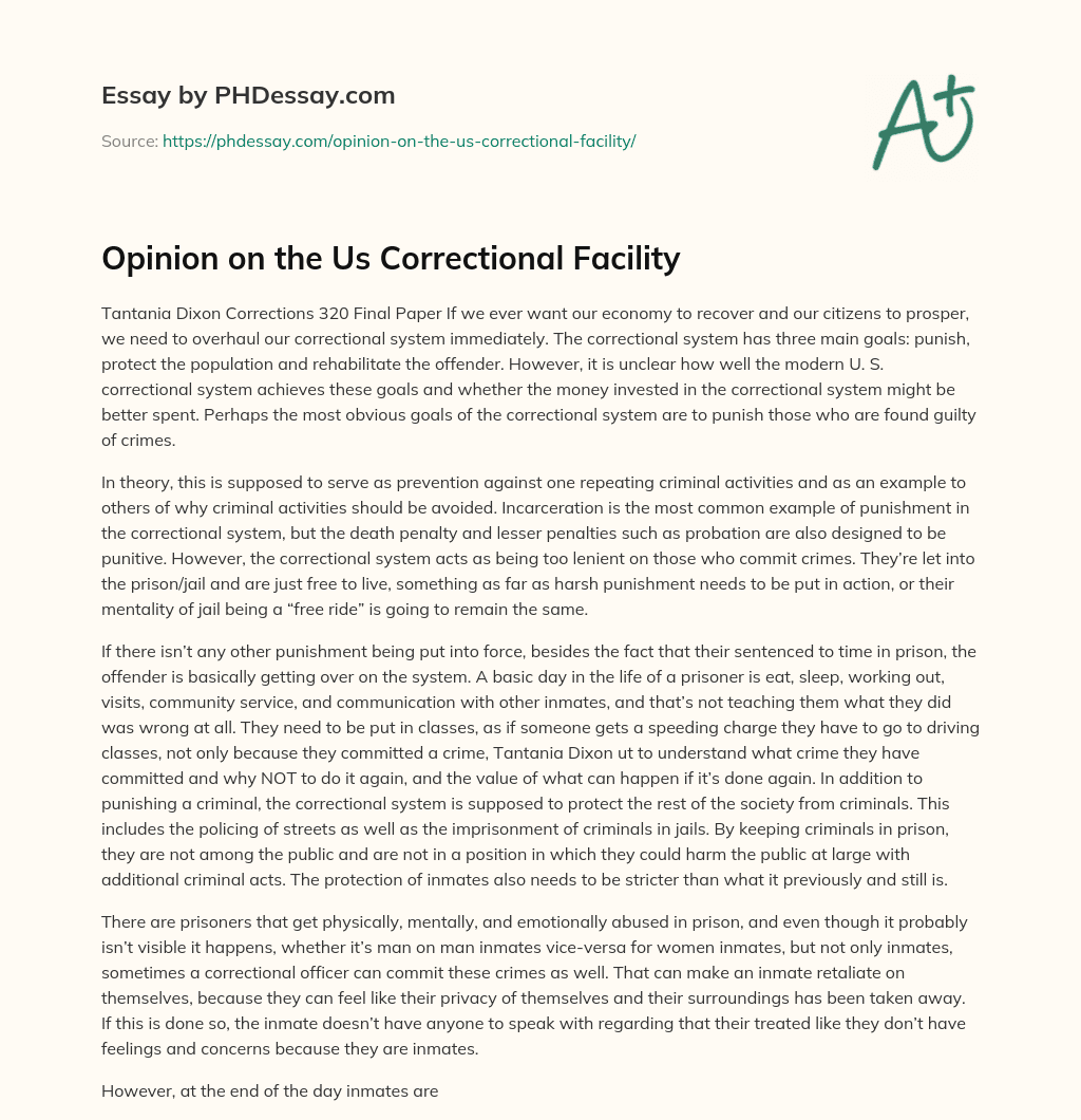 Opinion on the Us Correctional Facility essay