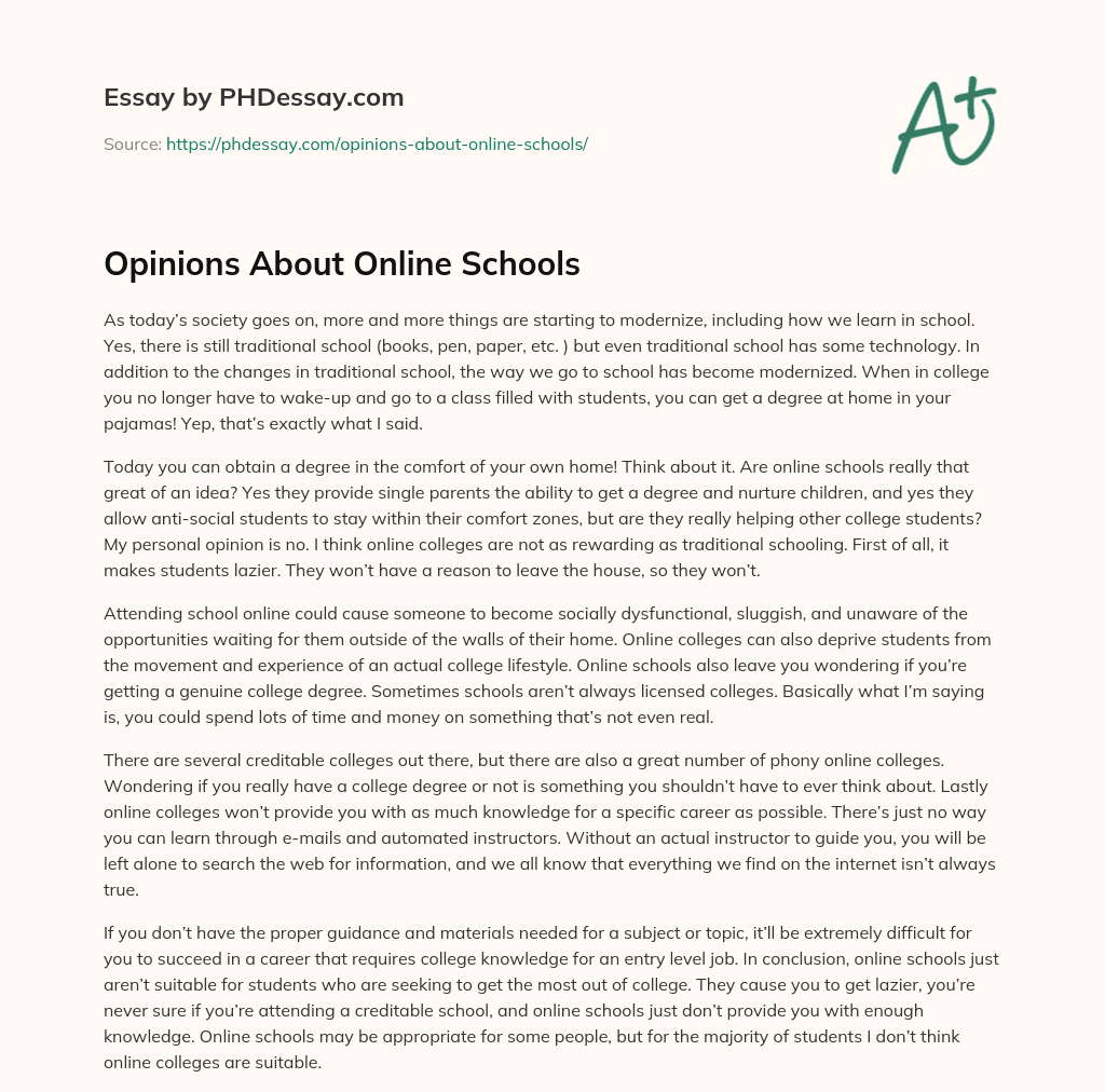 Opinions About Online Schools essay