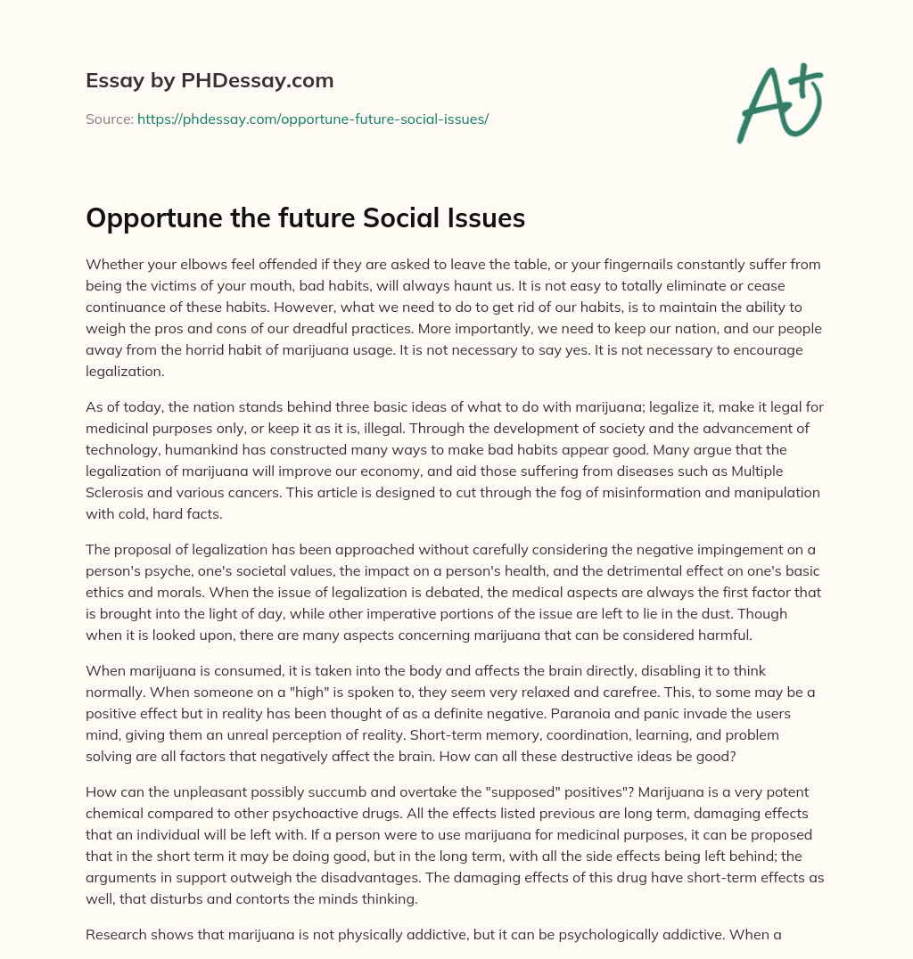 Opportune the future Social Issues essay
