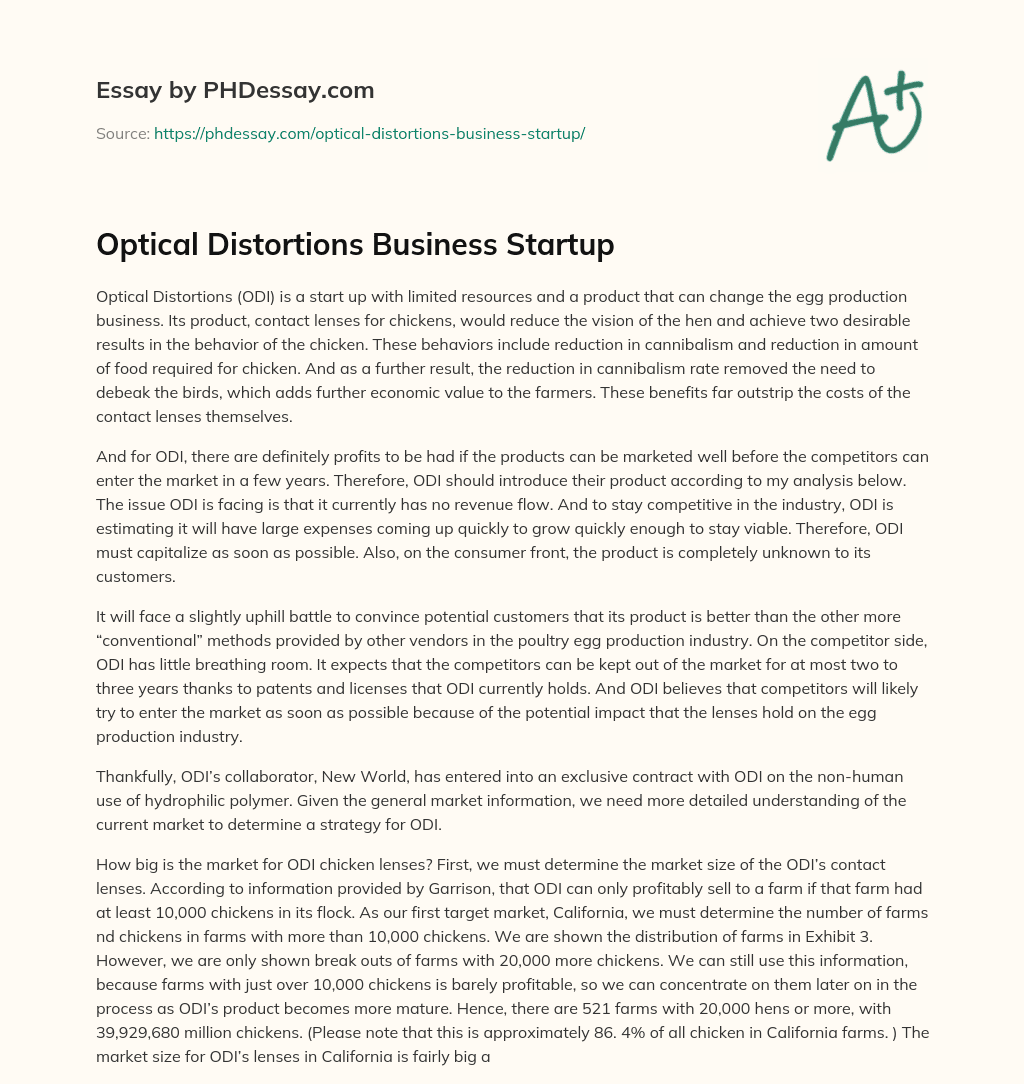 Optical Distortions Business Startup essay