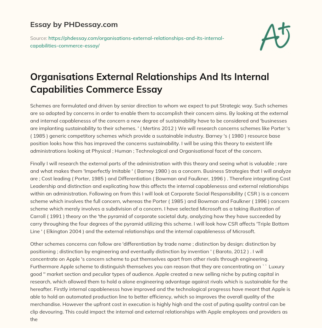 Organisations External Relationships And Its Internal Capabilities Commerce Essay essay