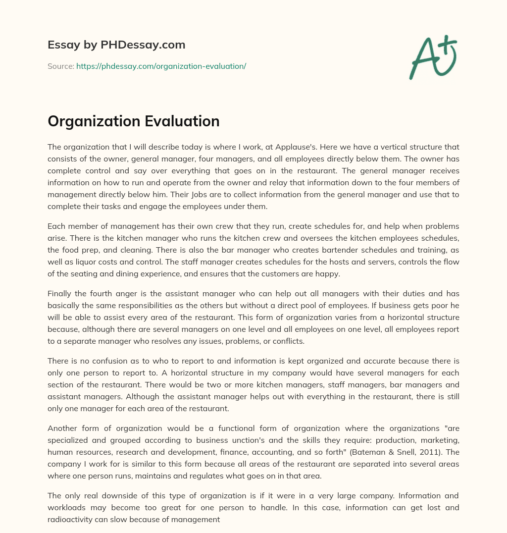 Organization Evaluation essay