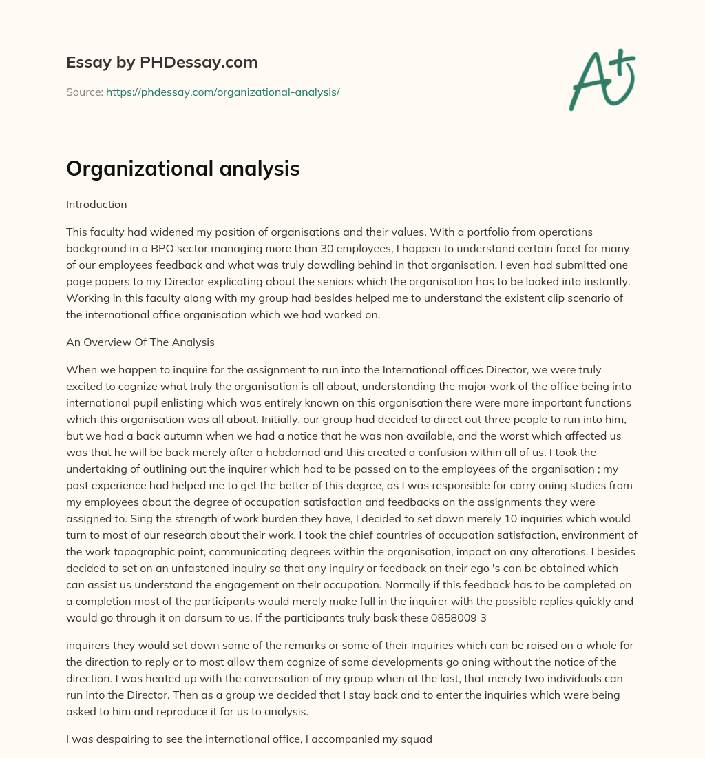 Organizational analysis essay