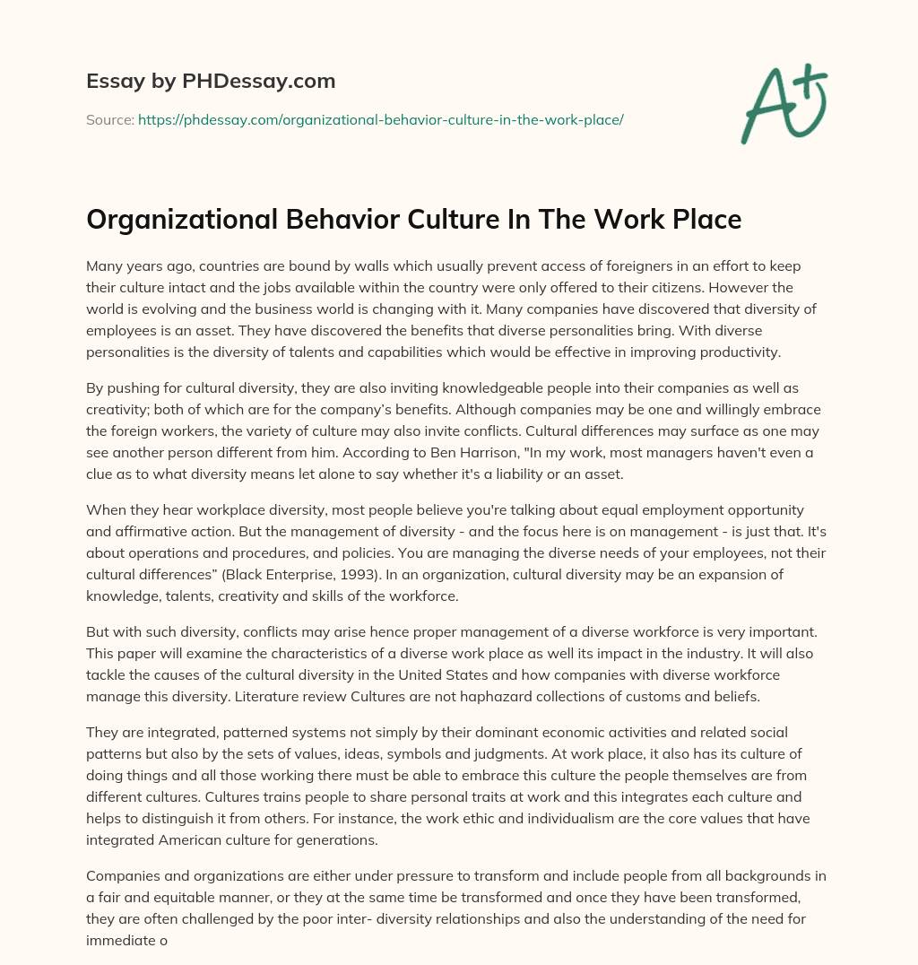 Organizational Behavior  Culture In The Work Place essay