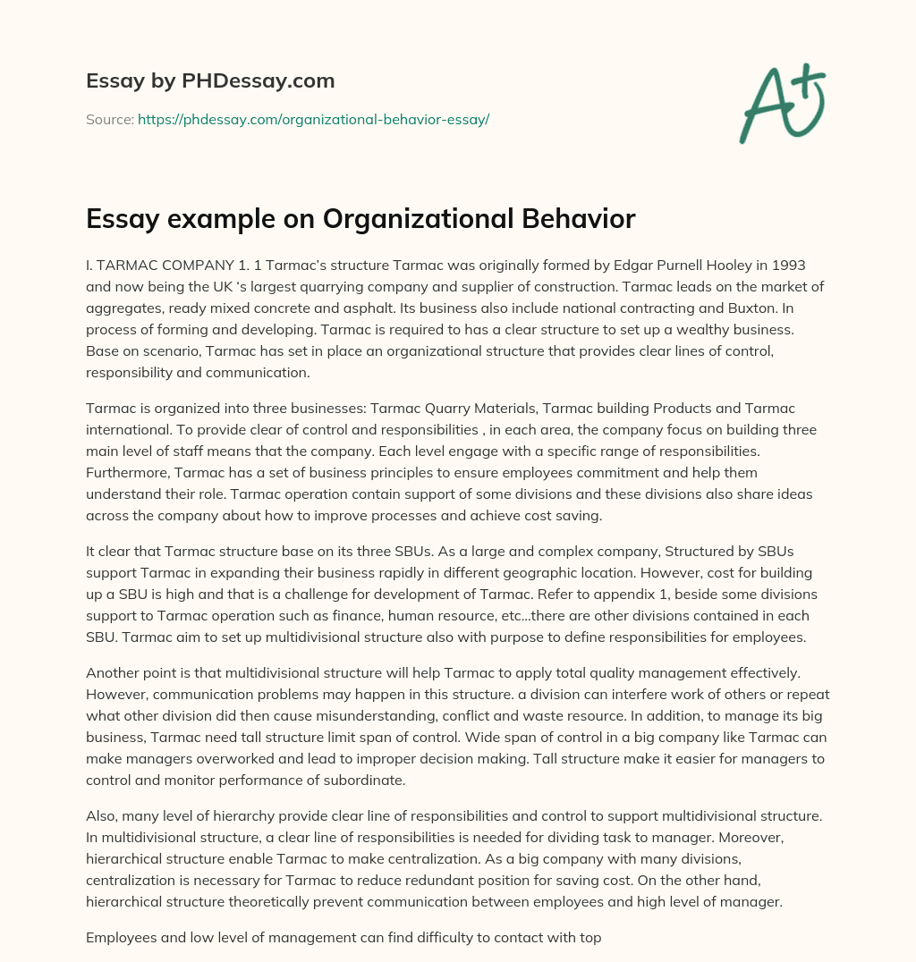 Essay example on Organizational Behavior essay