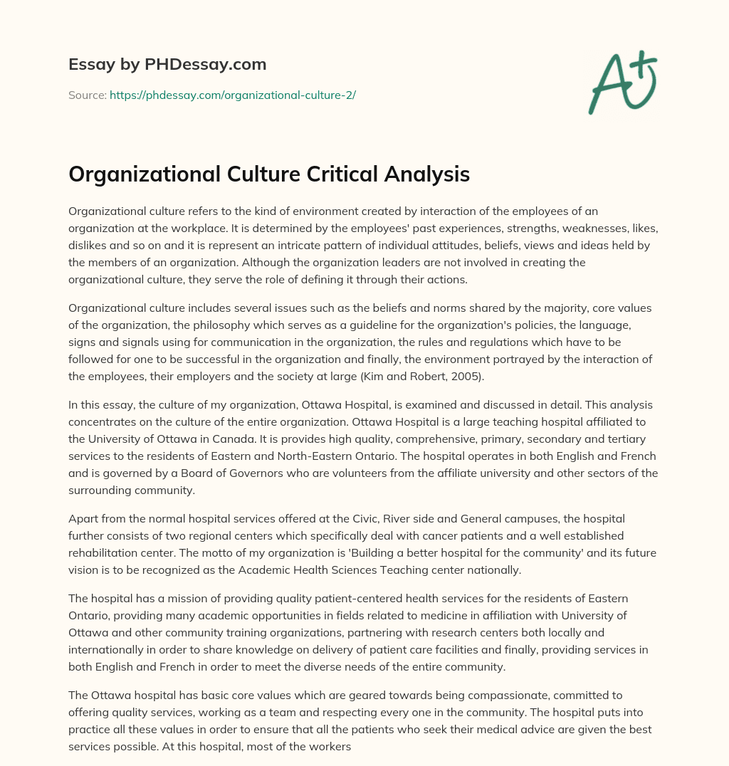 Organizational Culture Critical Analysis essay