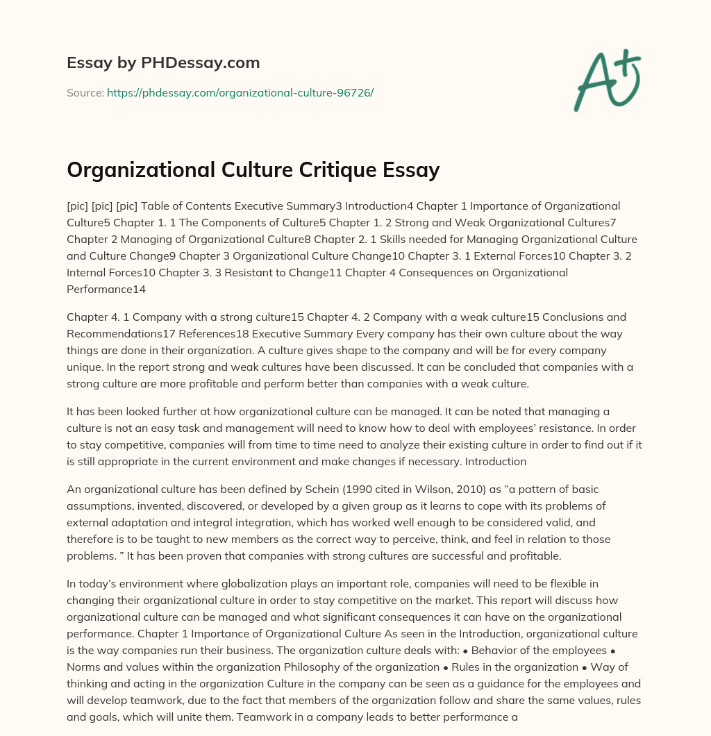 Organizational Culture Critique Essay essay