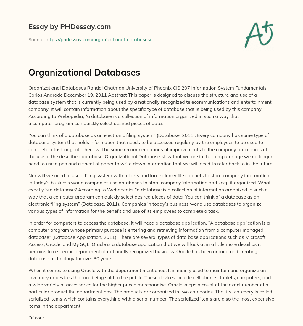 Organizational Databases essay