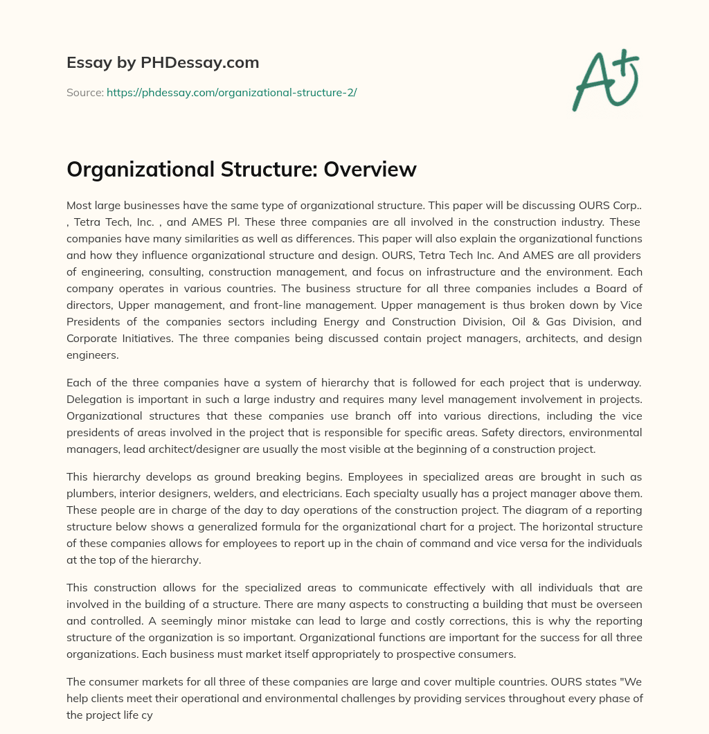 Organizational Structure: Overview essay