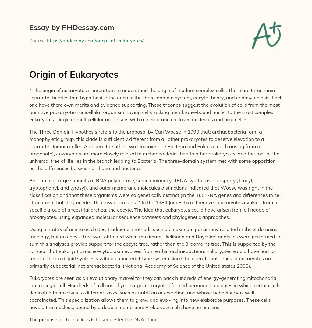 Origin of Eukaryotes essay