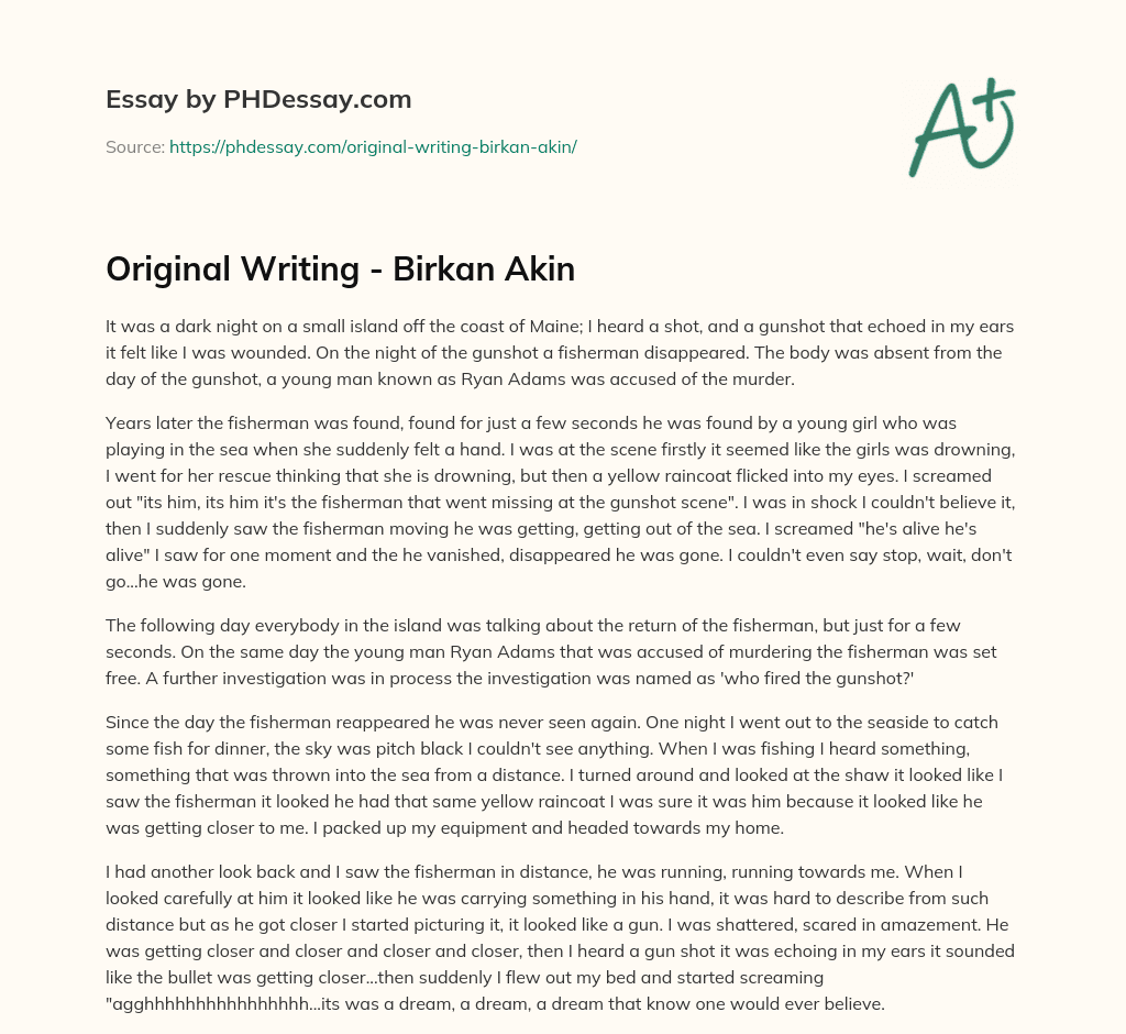 Original Writing – Birkan Akin essay