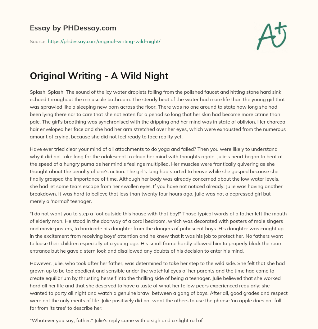 Original Writing – A Wild Night essay
