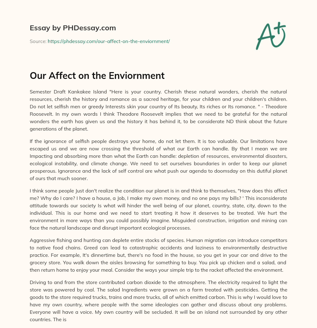 Our Affect on the Enviornment essay