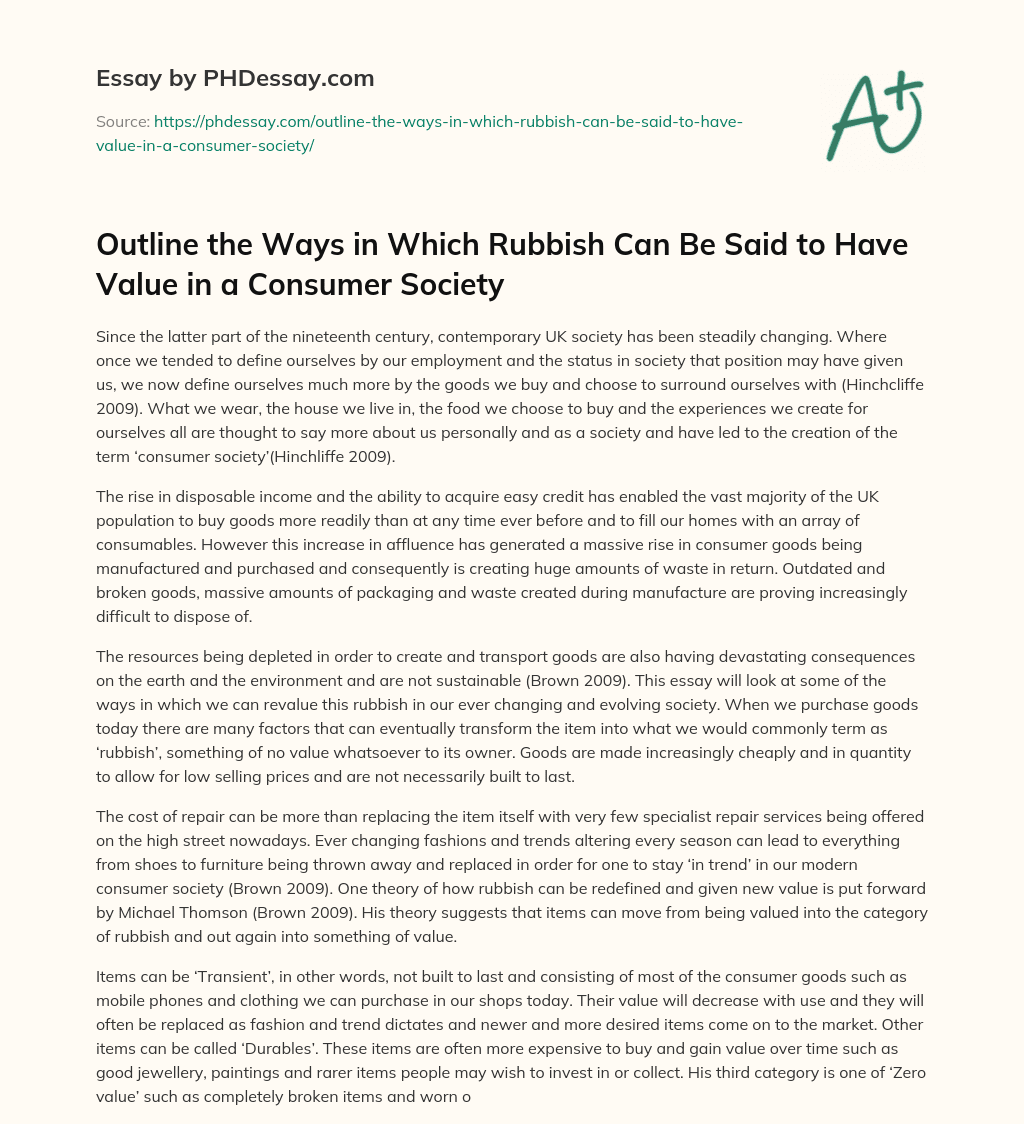 Outline the Ways in Which Rubbish Can Be Said to Have Value in a Consumer Society essay