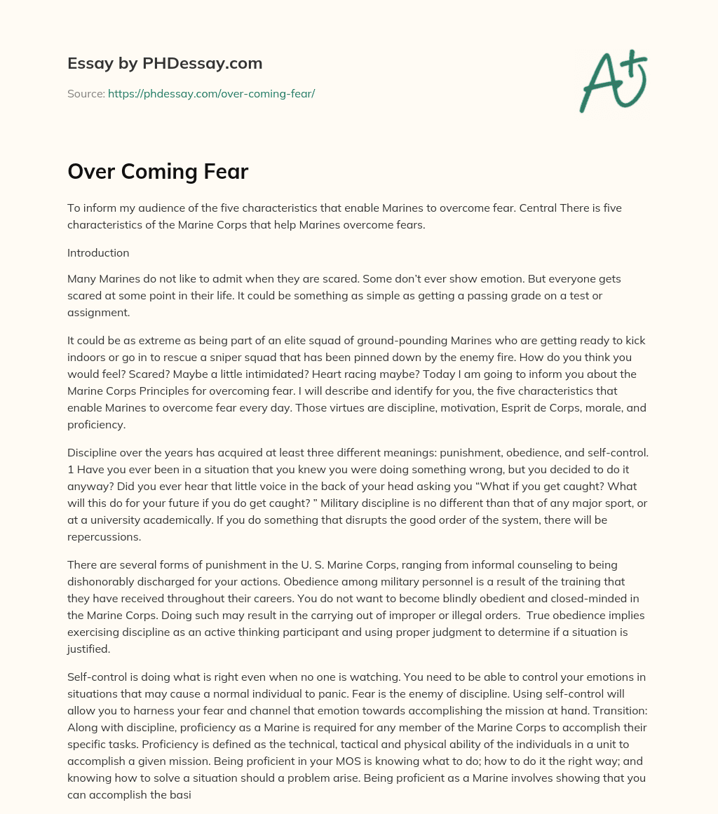 Over Coming Fear essay