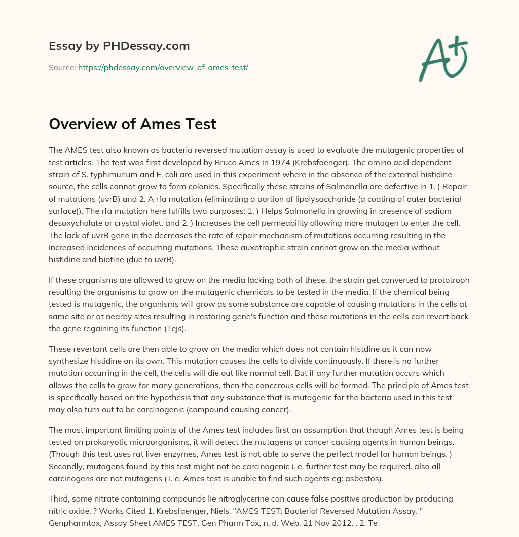 Overview of Ames Test (500 Words)