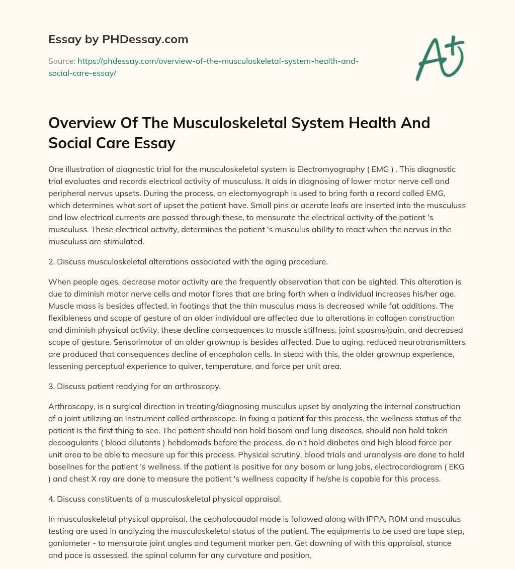 Overview Of The Musculoskeletal System Health And Social Care Essay essay