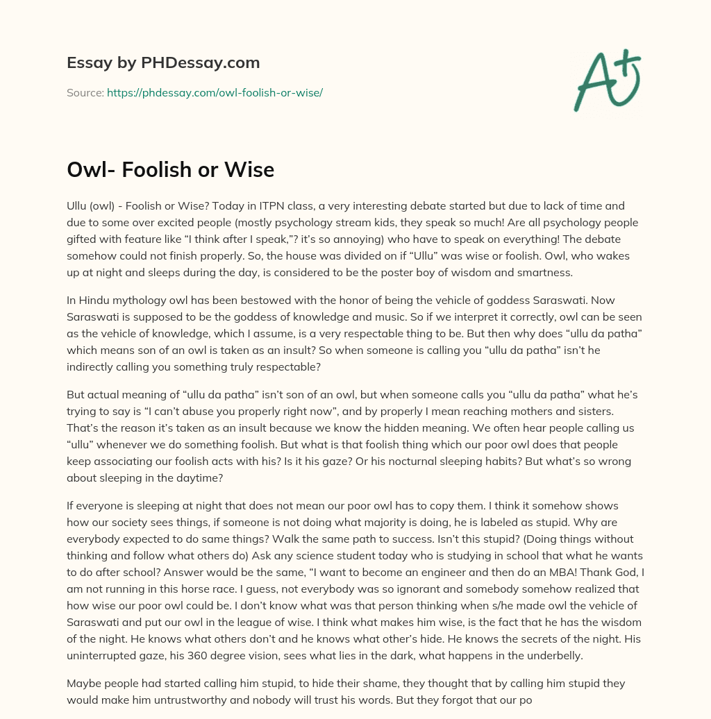 Owl- Foolish or Wise essay