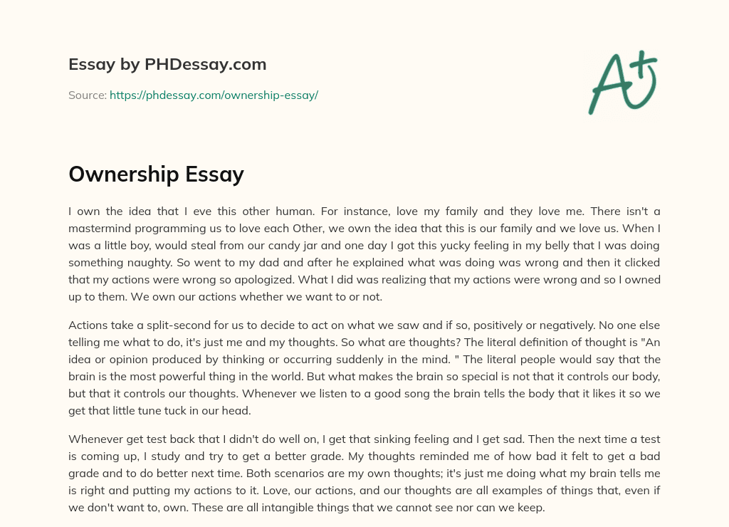 ap english ownership essay