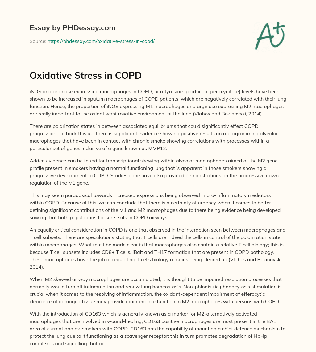 Oxidative Stress in COPD essay
