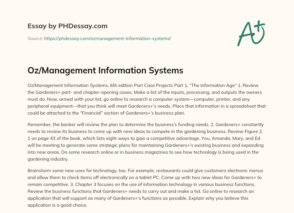 Oz/Management Information Systems essay