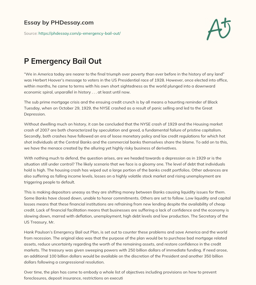 P Emergency Bail Out essay