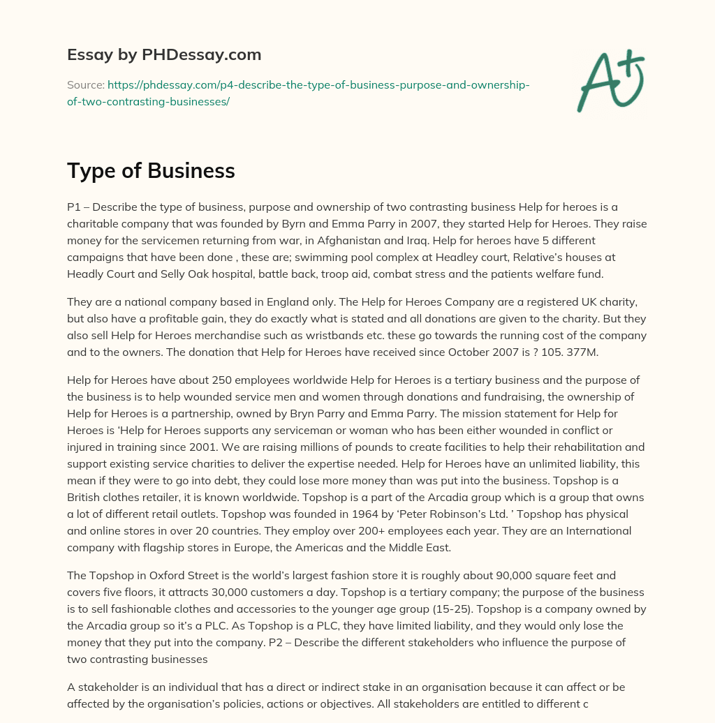 Type of Business essay