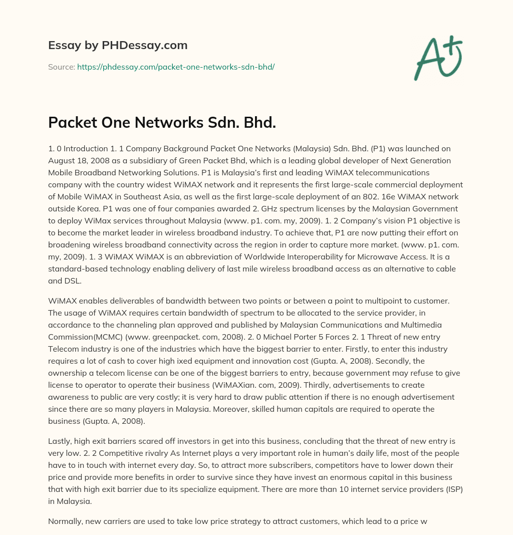 Packet One Networks Sdn. Bhd. essay