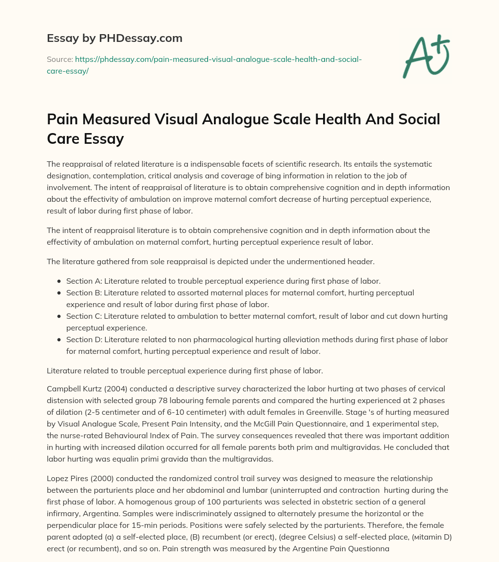 Pain Measured Visual Analogue Scale Health And Social Care Essay essay