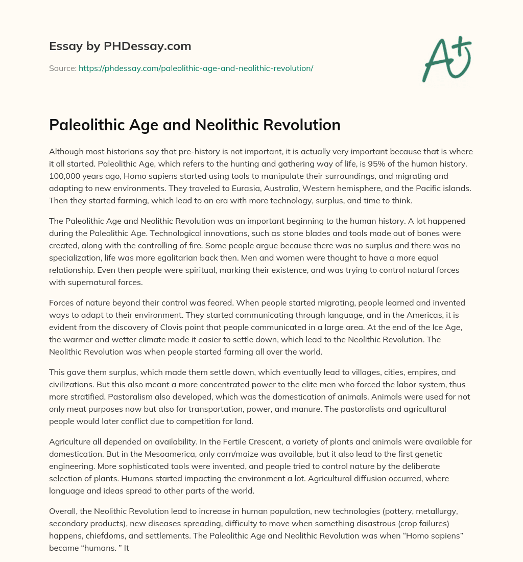 Paleolithic Age and Neolithic Revolution essay
