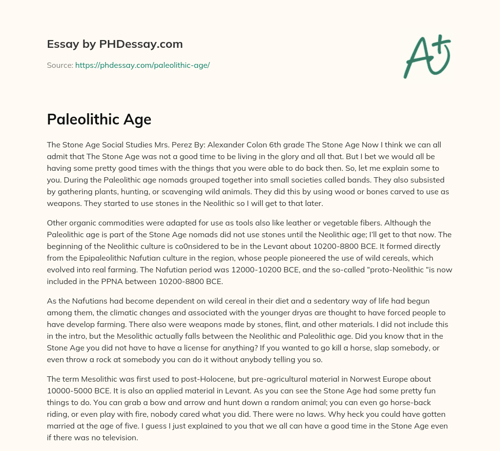 Paleolithic Age essay