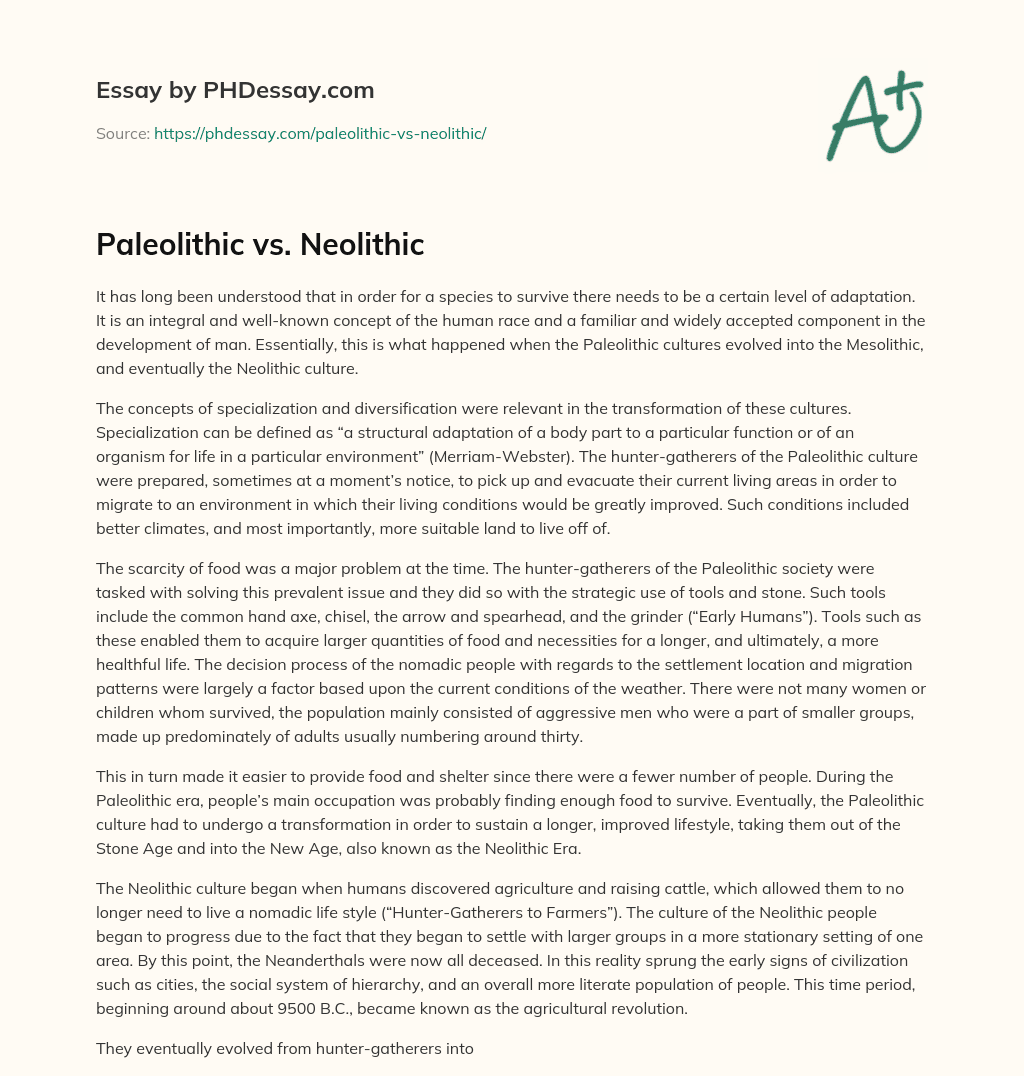 Paleolithic vs. Neolithic essay