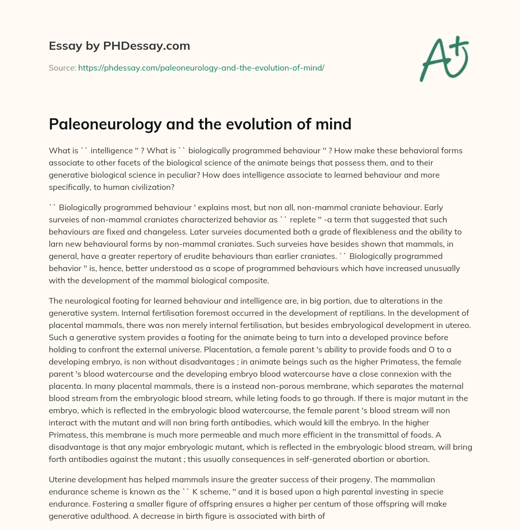Paleoneurology and the evolution of mind essay