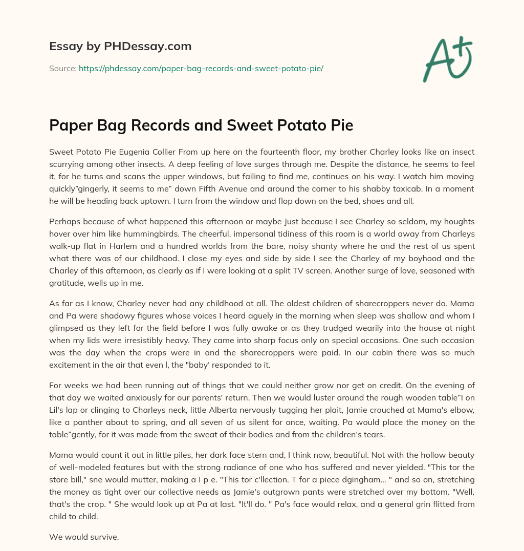 Paper Bag Records and Sweet Potato Pie essay
