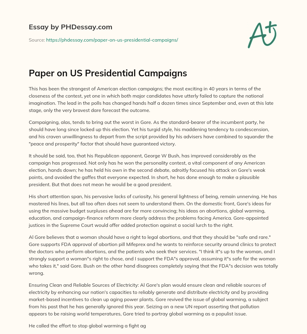 Paper on US Presidential Campaigns essay