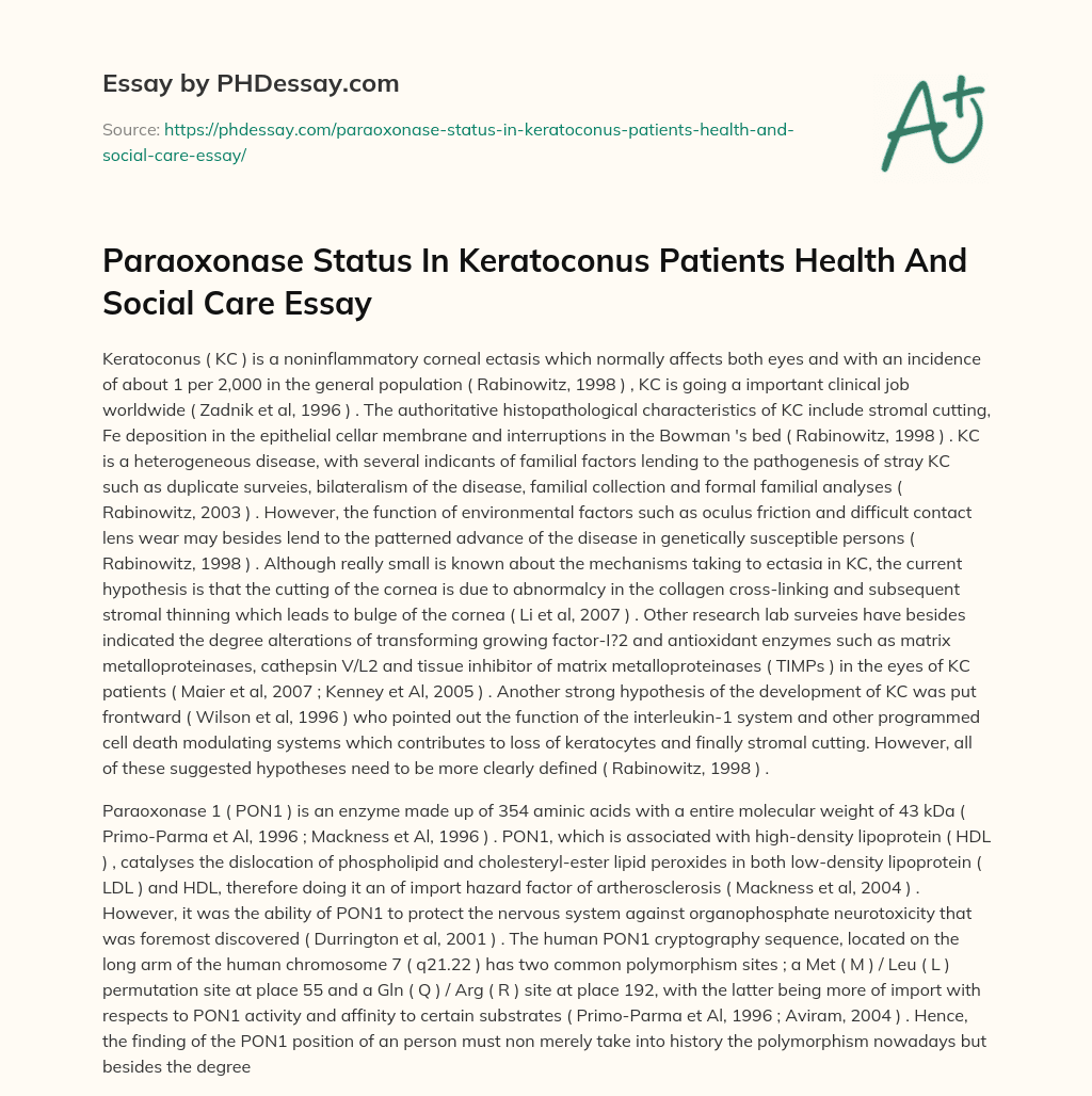 Paraoxonase Status In Keratoconus Patients Health And Social Care Essay essay