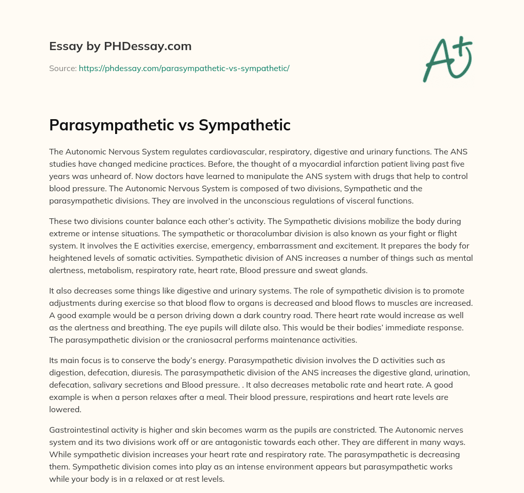 Parasympathetic vs Sympathetic essay