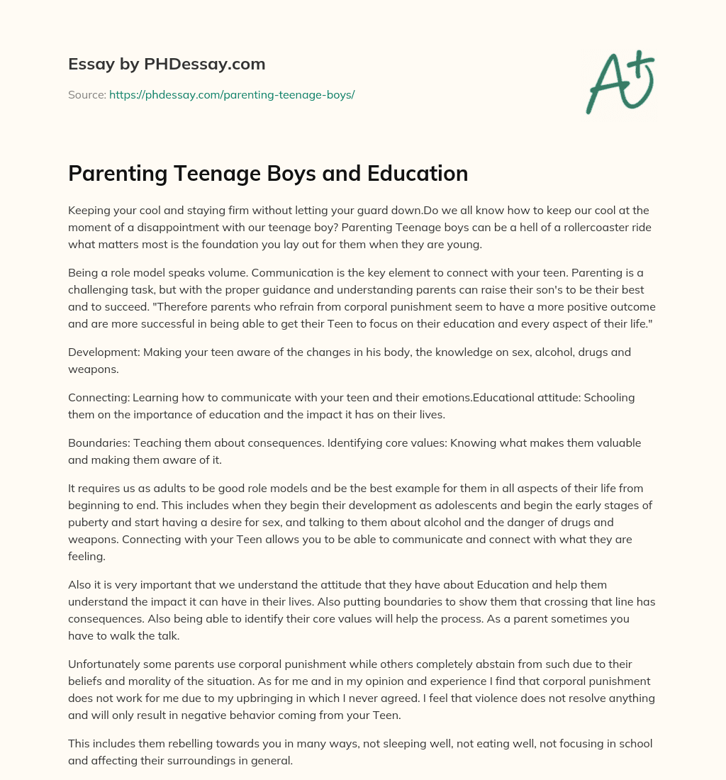 Parenting Teenage Boys and Education essay