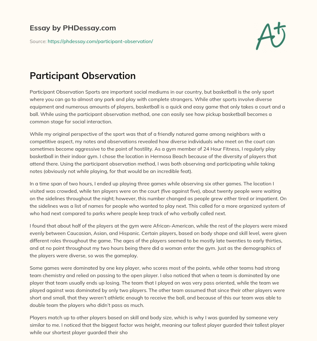 Participant Observation essay