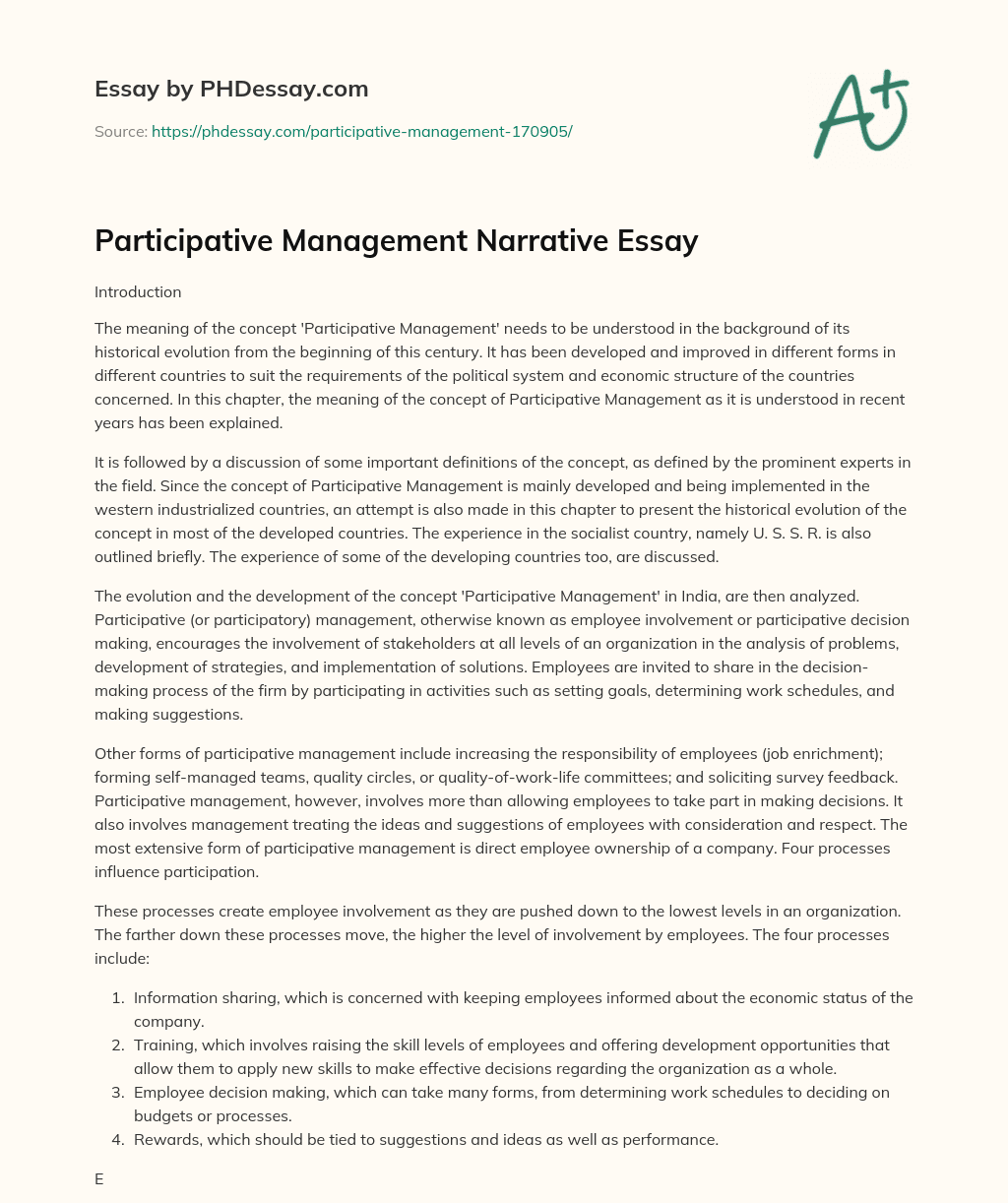 Participative Management Narrative Essay essay