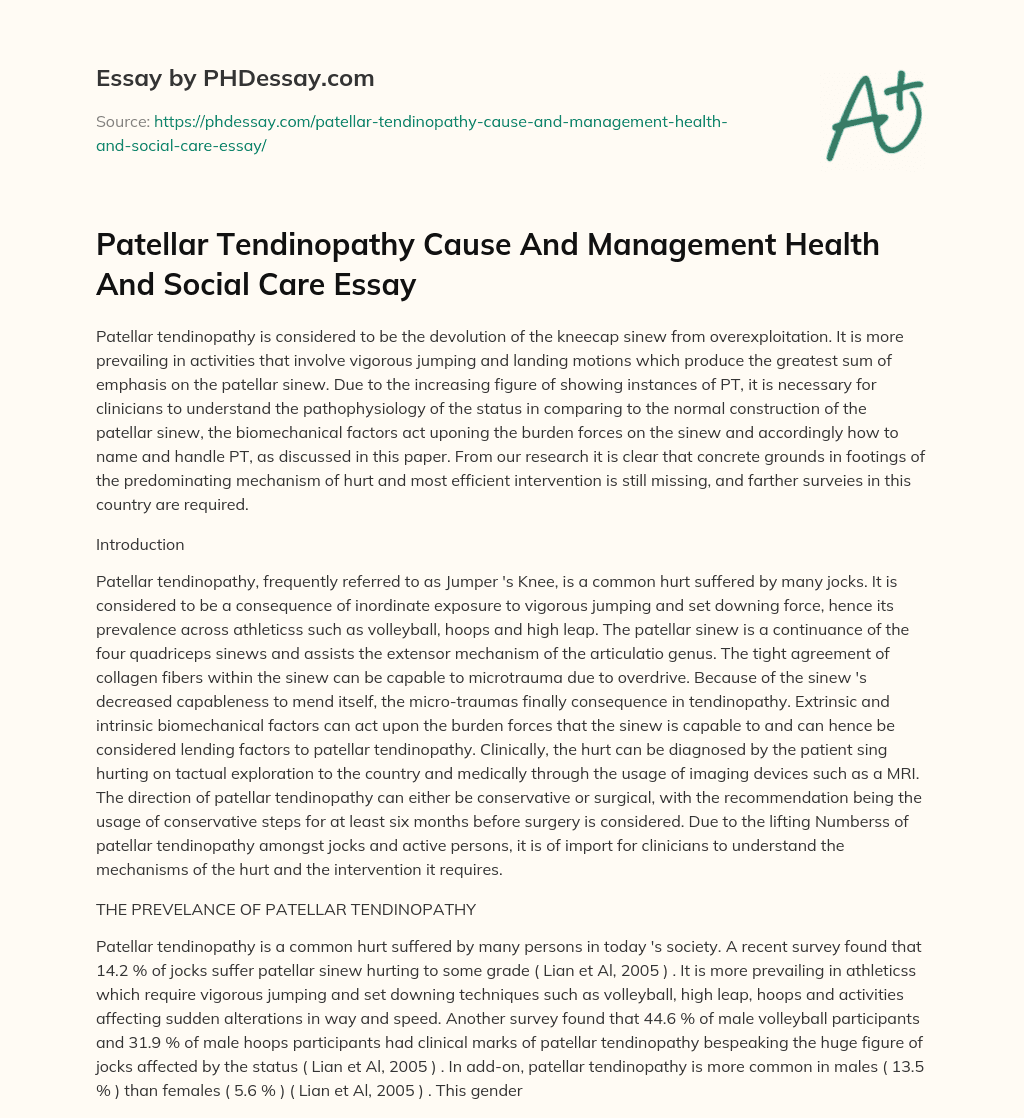 Patellar Tendinopathy Cause And Management Health And Social Care Essay essay