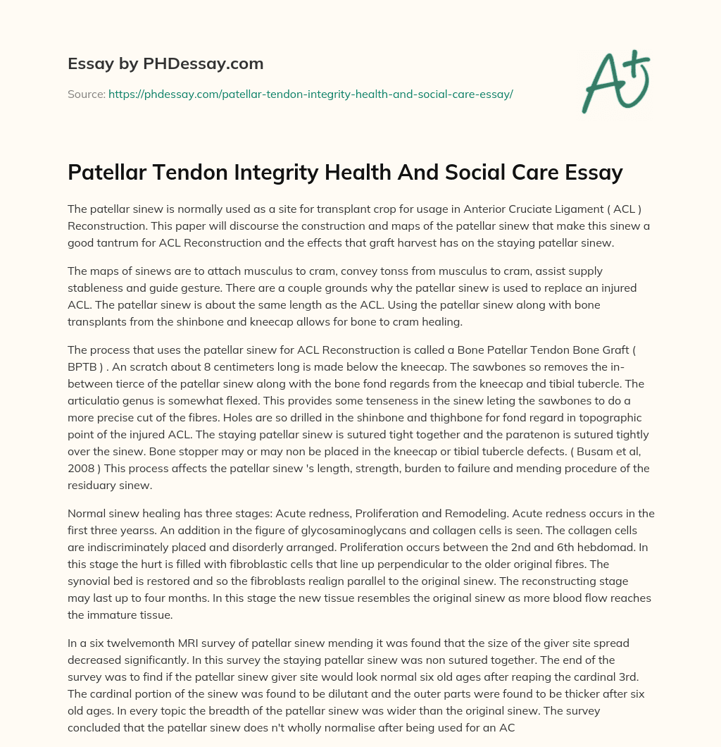 Patellar Tendon Integrity Health And Social Care Essay essay