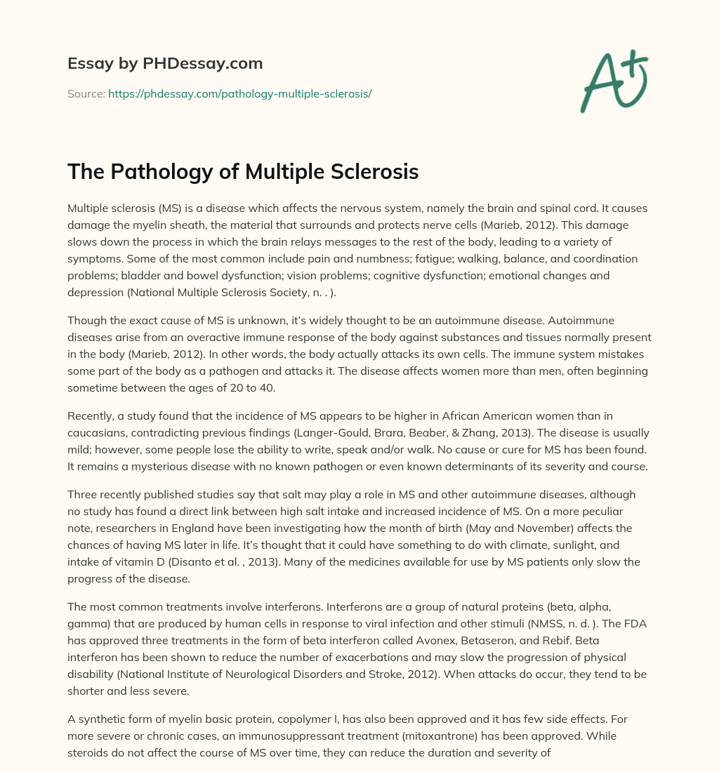 The Pathology of Multiple Sclerosis essay