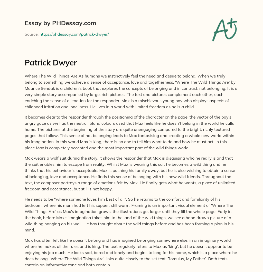 Patrick Dwyer essay